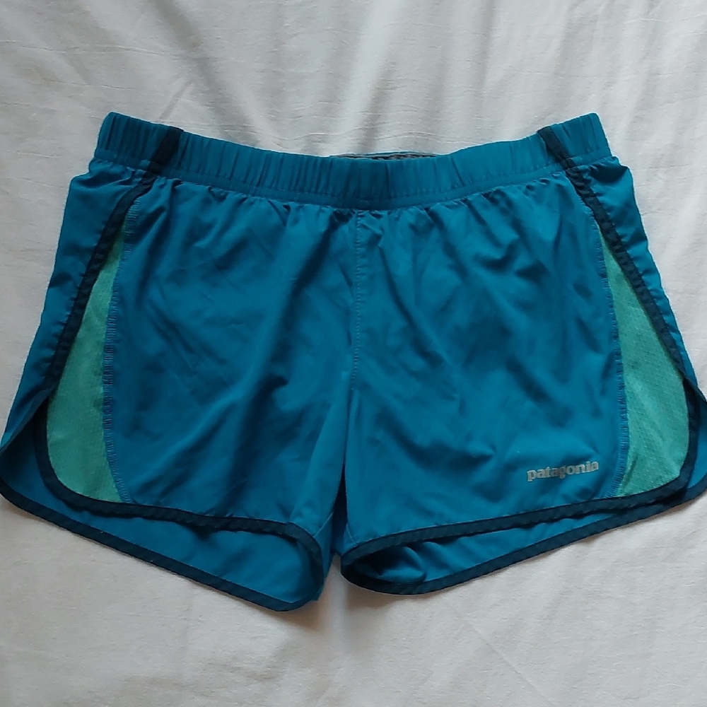 Patagonia Women's Blue Shorts